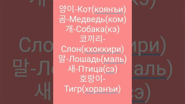 55 слов на корейском всего за 1 МИНУТЫ смотреть онлайн