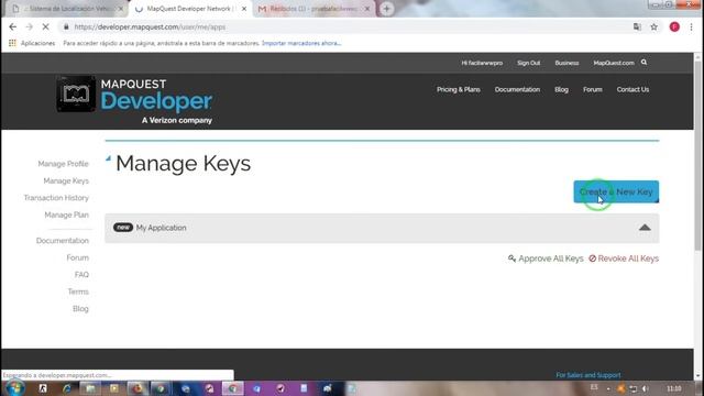 Crear Apikey MapQuest смотреть онлайн