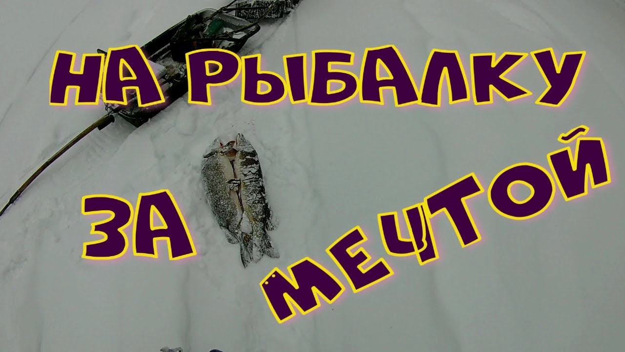 НА РЫБАЛКУ за МЕЧТОЙ.mp4 смотреть онлайн