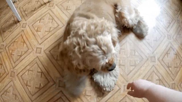 Прогулка после работы. Домашние хлопоты. смотреть онлайн