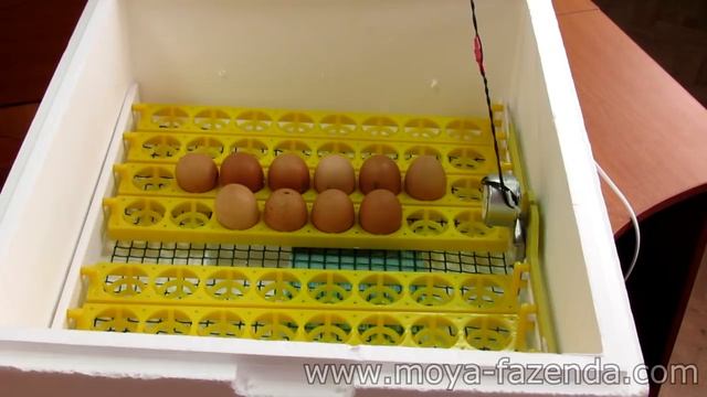 Бытовой инкубатор с автоматическим переворотом яиц и цифровым терморегулятором смотреть онлайн