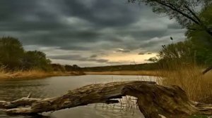 Высоцкий   Две судьбы Нелёгкая с кривою   YouTube 2