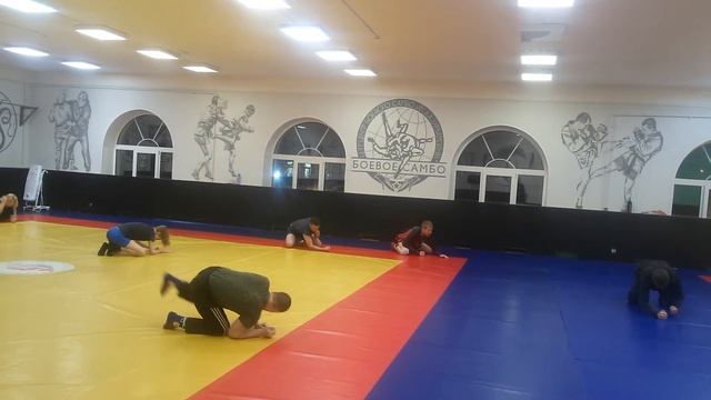 Прикладное боевое самбо. Элемент разминки 7 смотреть онлайн