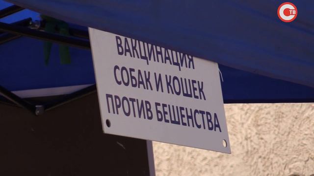 В Севастополе началась бесплатная выездная вакцинация животных от бешенства смотреть онлайн