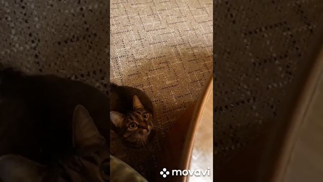 Что делать если КУСАЕТ.