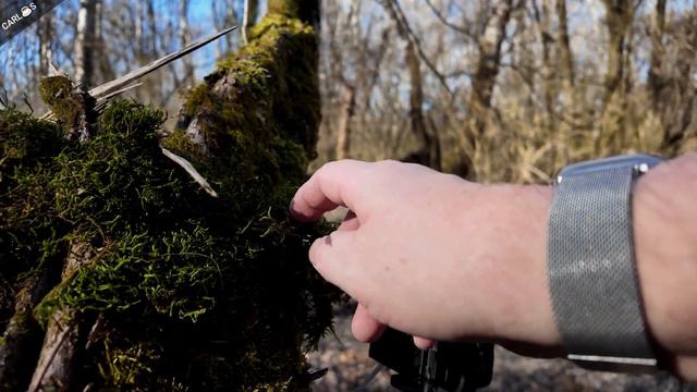 Update - Die Wildkamera neu befestigen смотреть онлайн