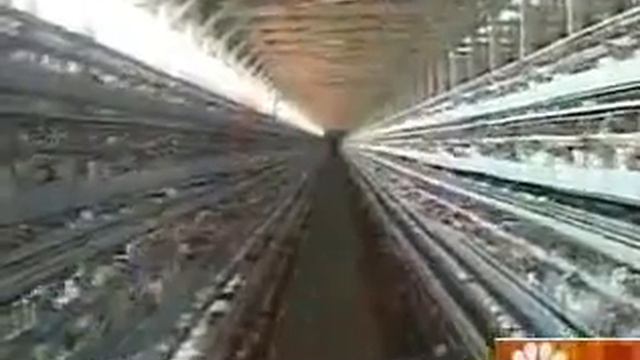 Today Show Intro- October 10, 2005 смотреть онлайн