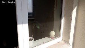 Робот мойщик окон против очень грязного окна и улик преступления! Hobot 2S