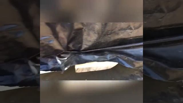 Обзор производства для Александра от 09.05.2019 Сямженский лес.