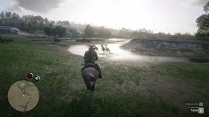 Идиллия для дилетантов 1, 2, 3, 4, 5 - второстепенный квест в Red Dead Redemption 2