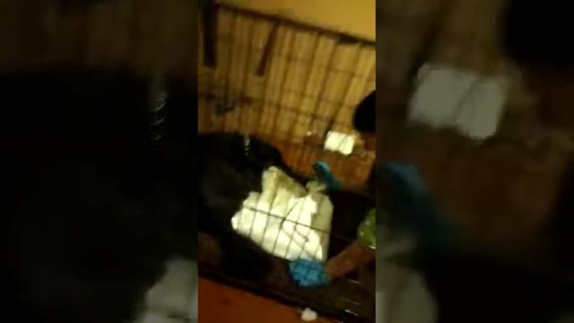 Теперь такого видео будет много Тем-более, что дочь папараци местный) смотреть онлайн