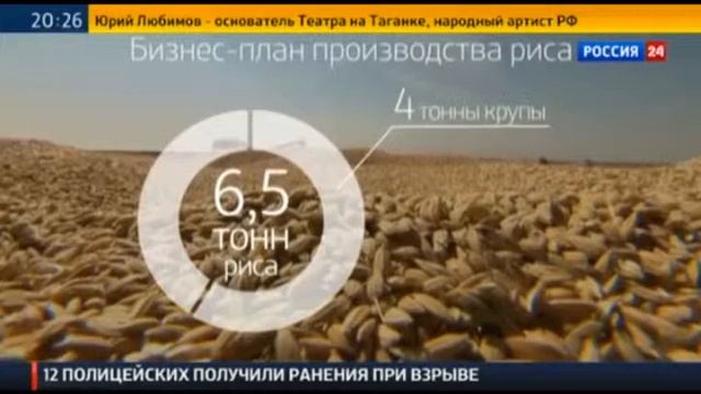 Урожайность риса смотреть онлайн