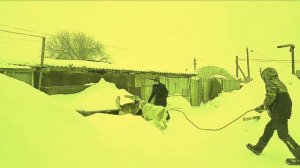 Собачие бои нериально крутой бой притив собаки смесь овчярки