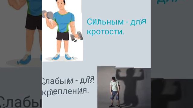Кому необходимо читать Библию смотреть онлайн