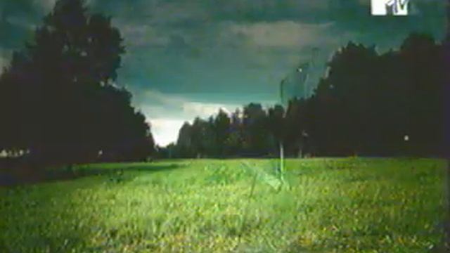 Корни, Плакала береза