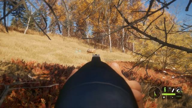 theHunter Call of the Wild #10 ? - Охота с Ружьем - ГАЙД для Начинающих смотреть онлайн