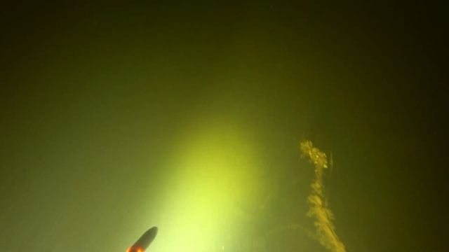 Первый в жизни сом и сразу монстр смотреть онлайн