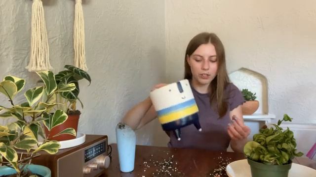 Repot With Me! Stromanthe Triostar, Hoya Compacta Hindu Rope, Red Maranta, and More! смотреть онлайн