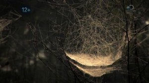 Дьявольский каньон 1 сезон 4 серия «Большой риск – большая награда» (документальный сериал, 2017)