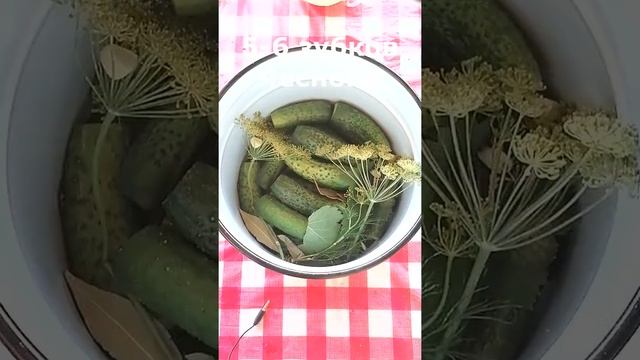 Игровые Обзоры и Переводы