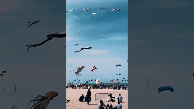 Vliegerfestivals in Renesse, Netherlands #holland #netherlands #renesse #kite #drachen смотреть онлайн