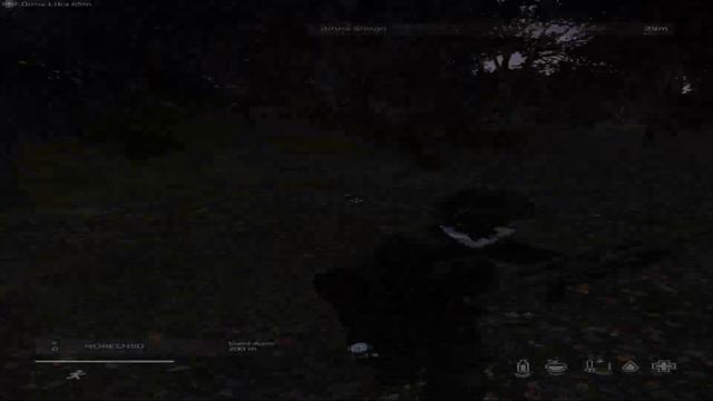 TryToFriend - FORTUNA 812  |  Paradise Tage #dayz #fragmovie #paradisepd