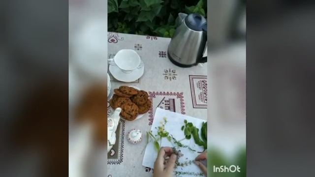 Летний Online Лагерь. Мастер класс - Как заварить чай. 02.07.2020 смотреть онлайн