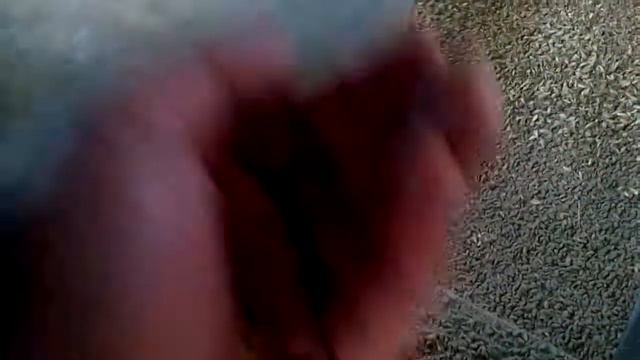 Барабанный сепаратор SB-200 смотреть онлайн