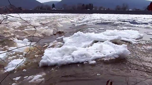 Ice over the Grant st dam 1 Lock Haven 1-15-2014 смотреть онлайн