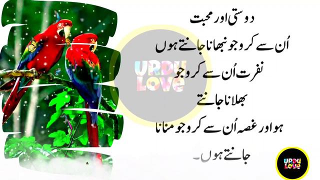 HAKEEM LUQMAN | Golden Thought Words |Best Collection Of Words | qoutes in Urdu Hindi | By Urdu Lov смотреть онлайн