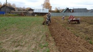 Осенняя вспашка мотоблоком Нева МБ-2 с оборотным плугом.