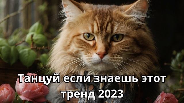 ?ТАНЦУЙ ЕСЛИ ЗНАЕШЬ ЭТОТ ТРЕНД 2023? смотреть онлайн
