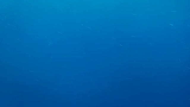 Мы плыли на коробле на море мы но 0 это же смотреть онлайн