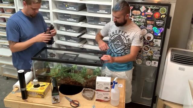 How to setup your Ball Python Terrarium - DIY Cheap Terrarium Hacks смотреть онлайн