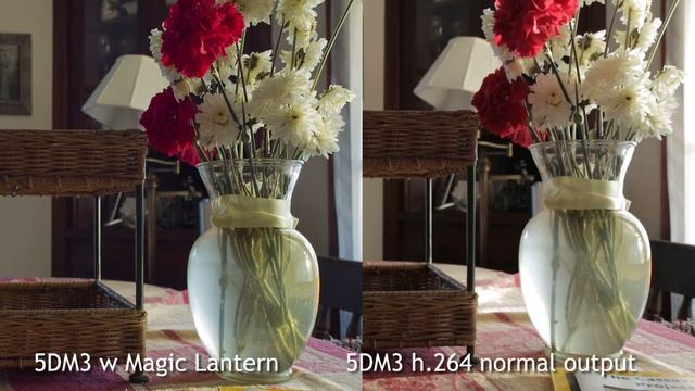 Magic Lantern 2k vs XC10 4k (scaled down to 2k) [1080 3S4C7338] смотреть онлайн