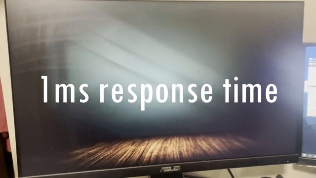 AsusVG249 Gaming Monitor - My Thoughts смотреть онлайн