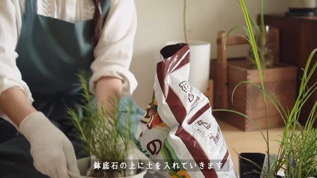 家の中で″好き″を満喫する休日の過ごし方?｜6:30起きの朝活、おうち居酒屋、画材紹介とおえかき、植物の植え替え смотреть онлайн