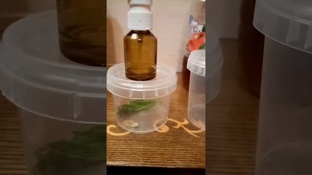 Супер эффективный способ от КЛОПОВ... смотреть онлайн
