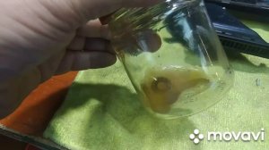 Ремонт Polaris PVCR-0826 пищит 4 раза