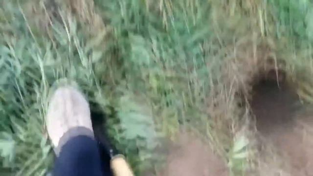 Когда нашёл глазам не поверил! Клад древних монет! (продолжение) смотреть онлайн