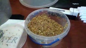 Сушка и увлажнение табака - для чего сушат и увлажняют табак перед забивкой гильз