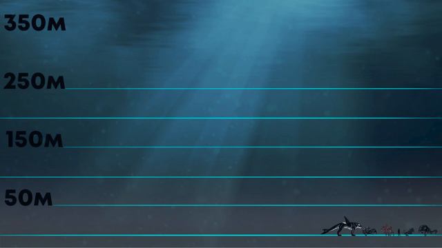 Biggest Sea Monsters Size Comparison | Part 2