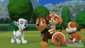 Гонщик и Скай ~хулиган