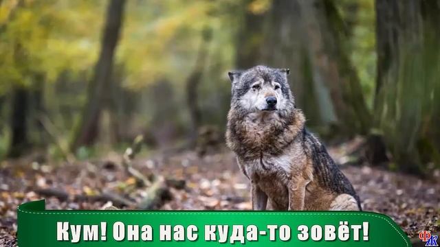 ВОЛЧИЦА вышла к людям за помощью – она умоляла спасти ее волчонка смотреть онлайн