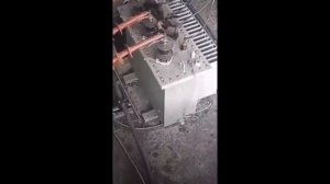 Кота дважды ударило током в 10000 Вольт.
