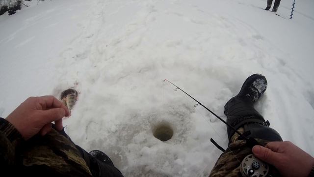 Зачетный окунь на балансир смотреть онлайн