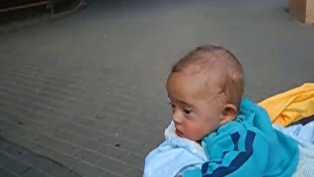 Миша и Жираф| Миша едет по Московскому зоопарку с папой и мамой смотреть онлайн