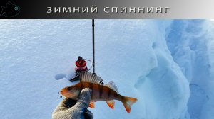 зимний Архангельский спиннинг Dayo NANO PREDATOR, от 0.2 гр до 2гр, 185см