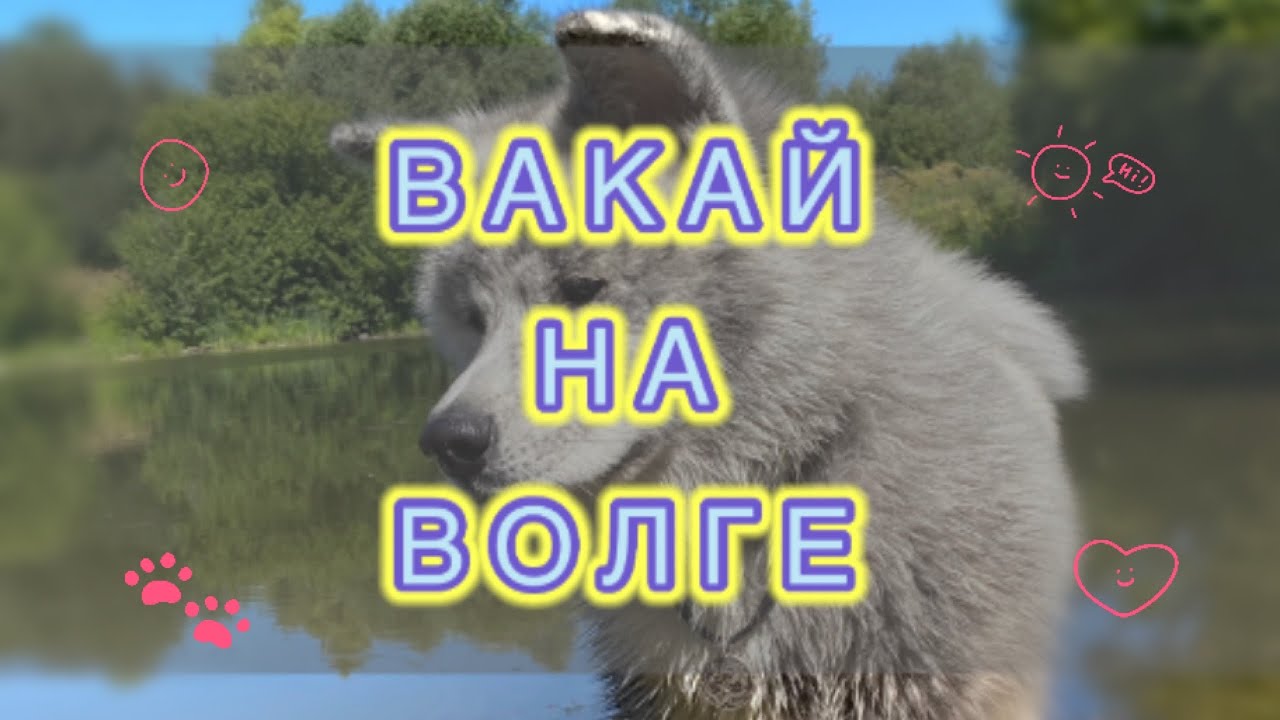 Вакай на Волге смотреть онлайн