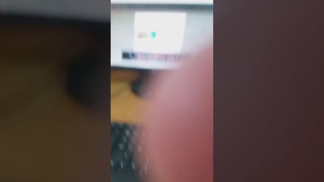 Мышка Genius на уроке информатике